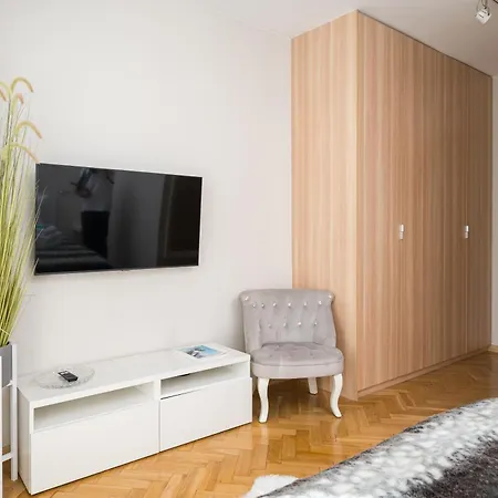 公寓 Krochmalna Spacious By Bookinghost 华沙